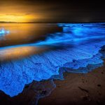 qeshm1 جزیره قشم سرزمین عجایب هفتگانه ایران